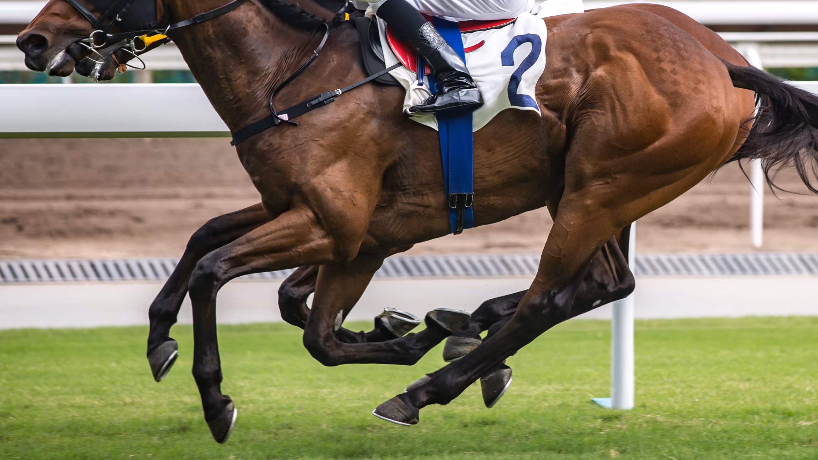 Watch UK horse racing abroad — ITV Racing, Glorious Goodwood and the Ebor Festival